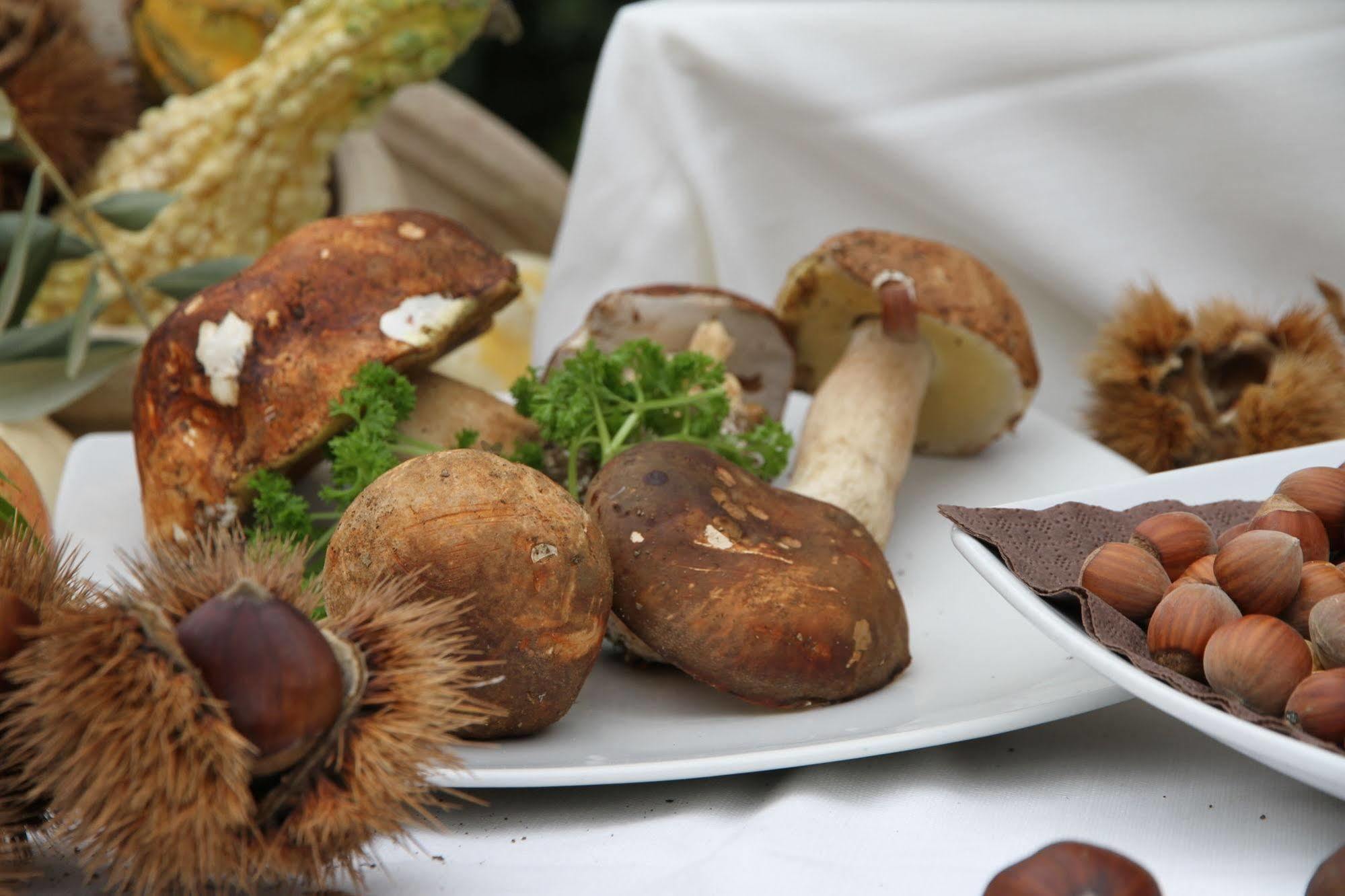 Acasamia Resort San Cipriano Picentino Kültér fotó